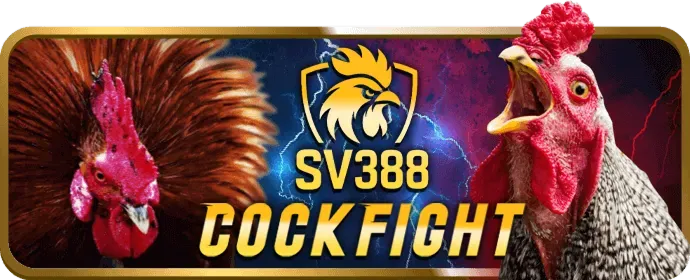 Mẹo chơi bi888 Bắn Cá